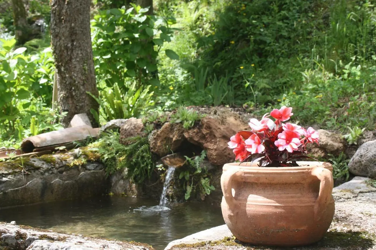Il Boscaccio Villa Fornovolasco Holiday home