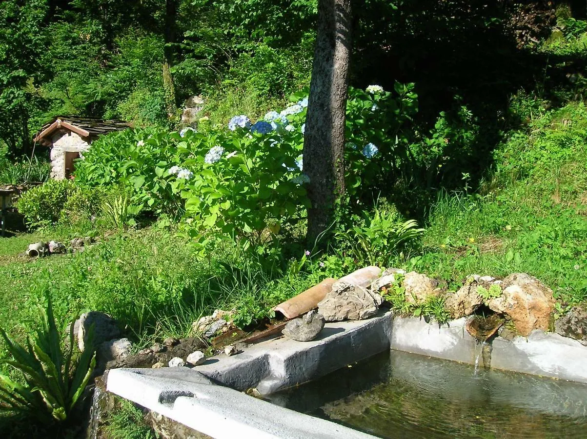 Il Boscaccio Villa Fornovolasco 0*,  Italy