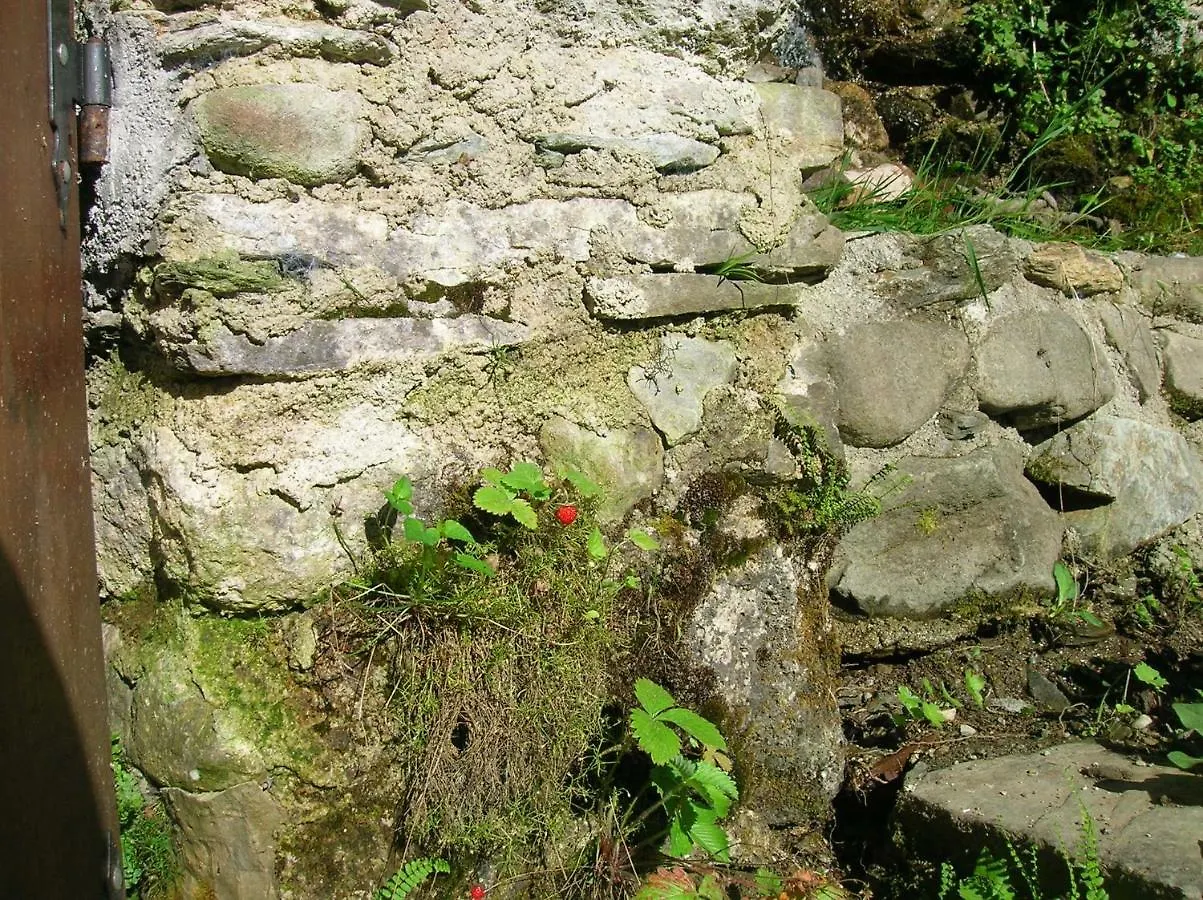 Il Boscaccio Villa Fornovolasco Holiday home
