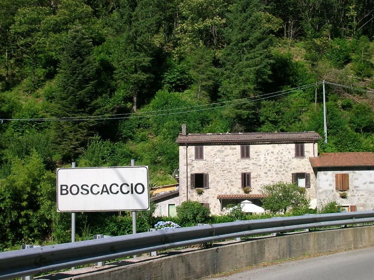 Il Boscaccio Villa Fornovolasco Holiday home